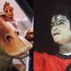 Image for article titled Michael Jackson wanted to play Jar Jar in The Phantom Menace